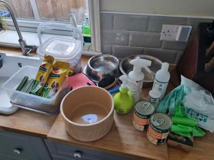 Photo of free Various dog items (Bignall End ST7) #1