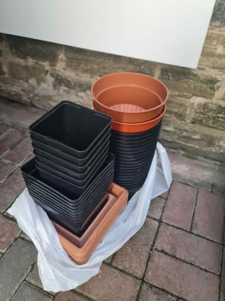 Photo of free Plant pots (lots) (Bradford BD3 8) #3