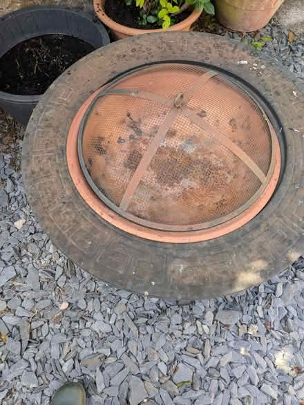 Photo of free Fire Pit (Pant SY10) #1