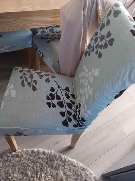 Photo of free Dining chairs (Upshire EN9) #1