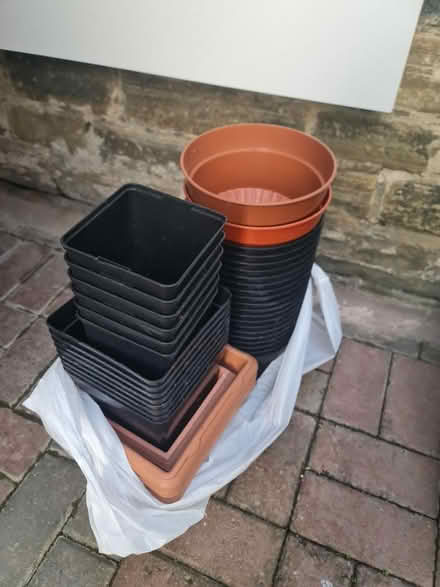 Photo of free Plant pots (lots) (Bradford BD3 8) #2
