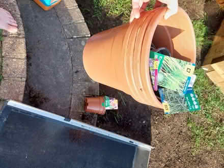 Photo of free Various plastic plant pots (Po7) #2
