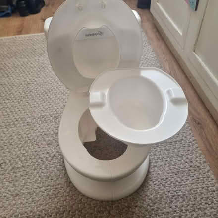 Photo of free Children potty, with flushing toilet noise (Stoneyford NG16) #1