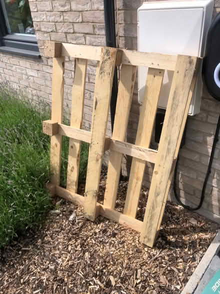 Photo of free Wooden pallet (Hertford EN11) #1