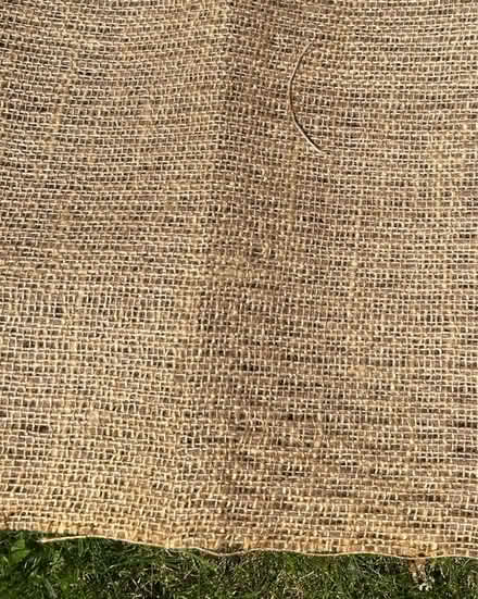 Photo of free Carpet underlay (Phippsville) #2