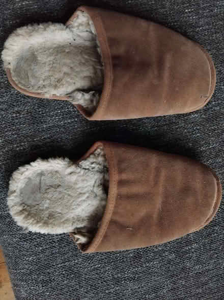 Photo of free Sheep skin slippers (Petersfield Ward CB1) #2