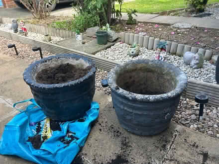 Photo of free 2 plant pots (Derby DE24) #1