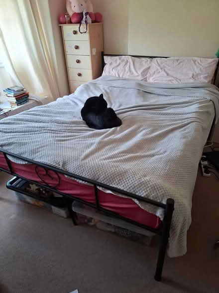 Photo of free Double bed frame (Malvern, WR14) #3