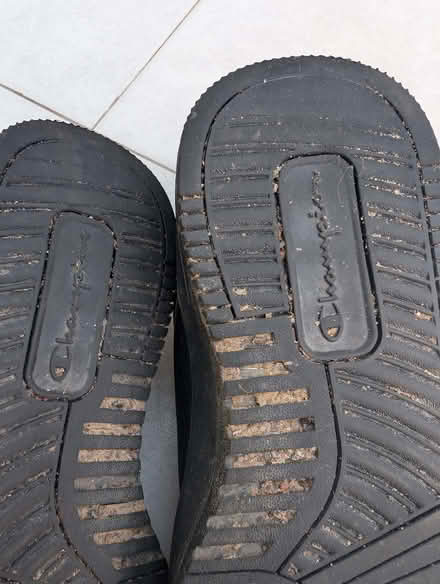 Photo of free Champion School shoes size 3.5/36 (Priestwood RG42) #2