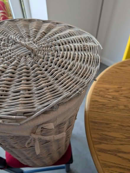Photo of free Laundry basket (Rawdon LS19) #2