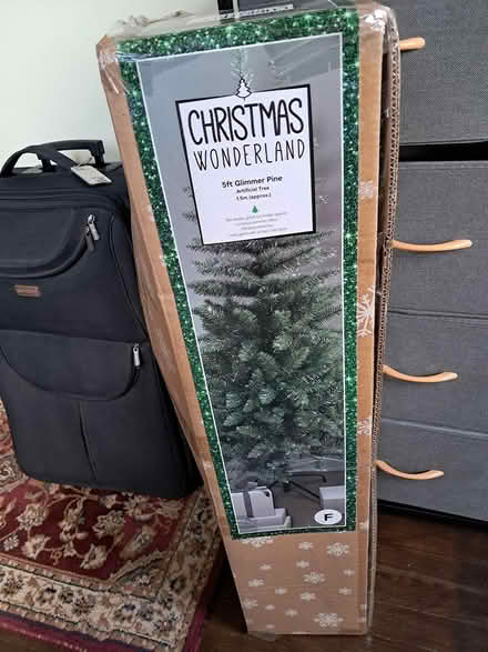 Photo of free Christmas tree (Derby DE22) #3