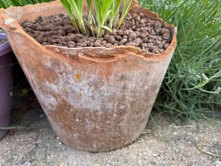 Photo of Large clay plant pots (GU31 Petersfield Heath) #1
