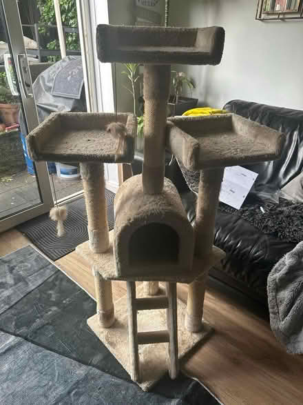 Photo of free Cat tower (NW7) #1