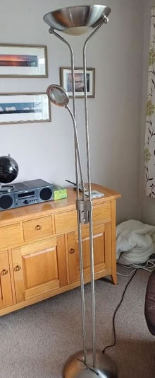 Photo of free Freestanding lamp and reading lamp (Marldon TQ3) #1