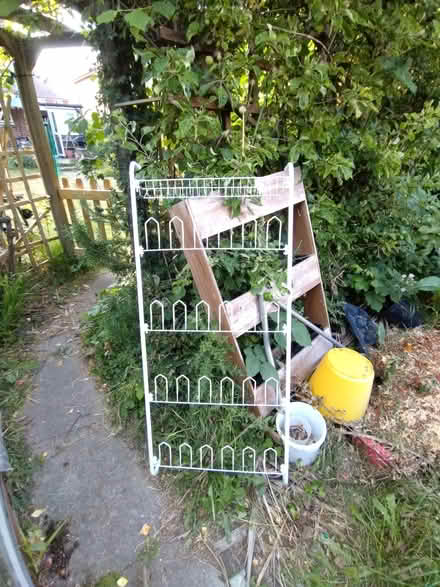 Photo of free Shoe Rack (CT2) #1