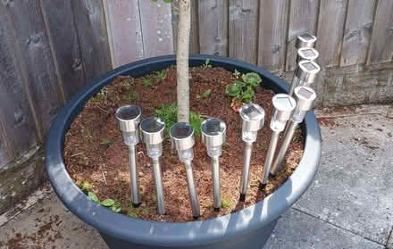 Photo of free Solar Lights... (Scotforth LA1) #1