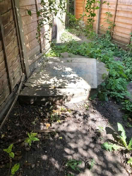 Photo of Mosquito Dunks or Similar for pond (Willesden NW2) #1