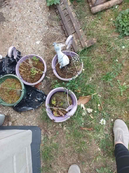 Photo of free Hanging baskets and garden pieces (leighton buzzard LU7) #1