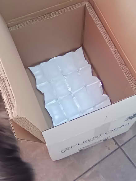 Photo of free Insulated cardboard box (Ameysford) #1