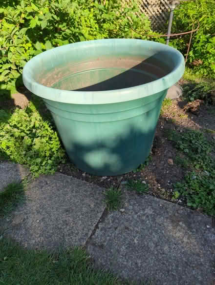 Photo of free Large plant pot (Easthampstead RG12) #1