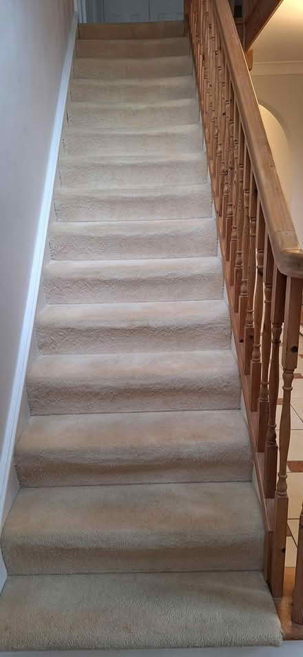 Photo of free Cream landing and stairs carpet (Horsham) #1