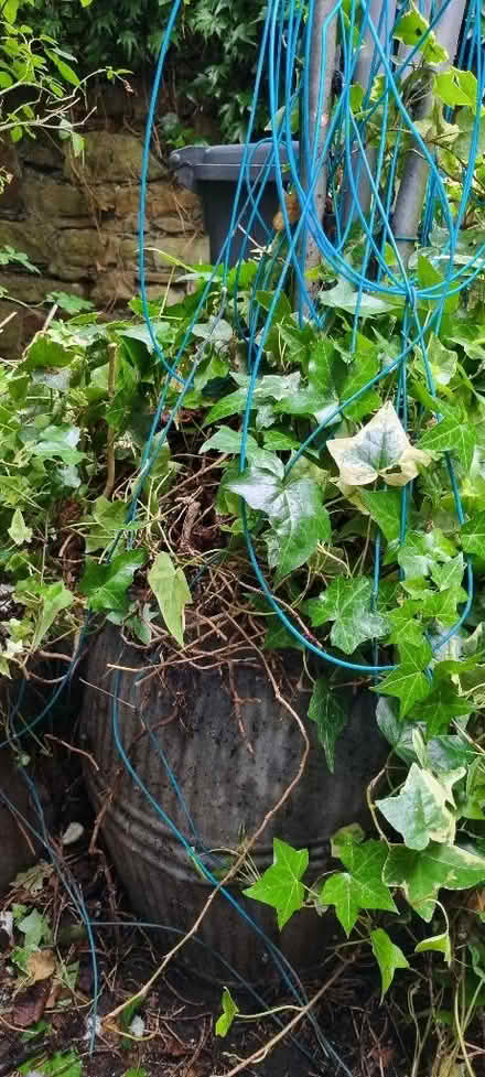 Photo of free Galvanised dolly tub adapted for a twirly washing line (Central Lancaster LA1) #1