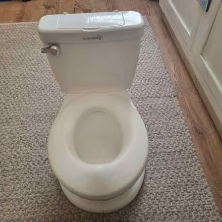 Photo of free Children potty, with flushing toilet noise (Stoneyford NG16) #2