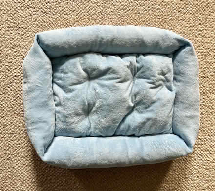 Photo of free Cat / small dog bed (Brixton Hill SW2) #2