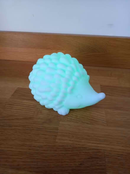 Photo of free Light-up colour changing hedgehog (Woodmancote GL11) #3