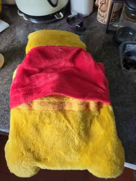 Photo of free Winnie water bottle cover (Hitchin SG4) #2