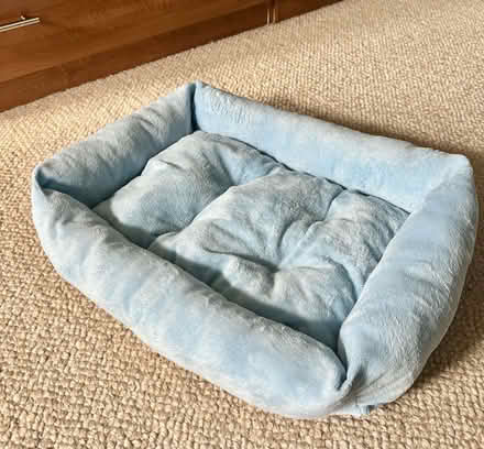 Photo of free Cat / small dog bed (Brixton Hill SW2) #1