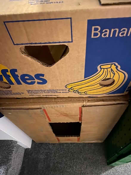 Photo of free Banana boxes for packing/moving (Plumpton CA11) #1
