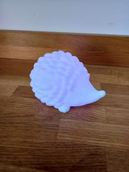Photo of free Light-up colour changing hedgehog (Woodmancote GL11) #1