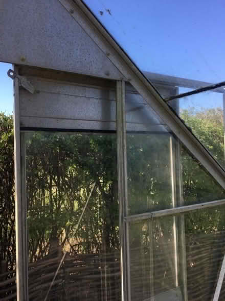 Photo of free Greenhouse (Chippenham SN15) #2
