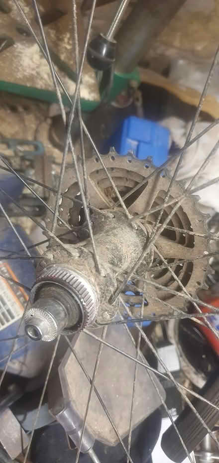 Photo of free Pair of 29er wheels (Sandbed Lane Belper DE56 0SJ) #2