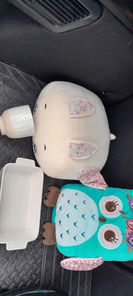 Photo of free Cushions dish pot (North Hinksey OX2) #1