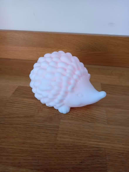 Photo of free Light-up colour changing hedgehog (Woodmancote GL11) #2