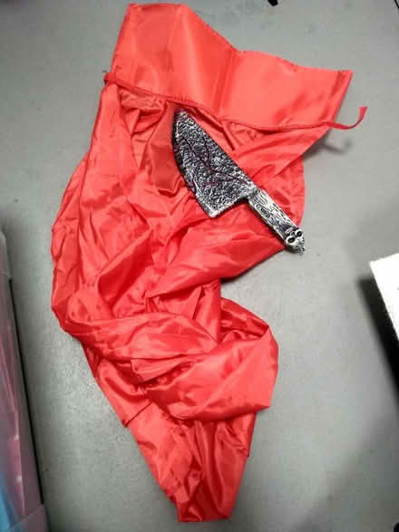 Photo of free Halloween Costume (Sharrow S2) #1