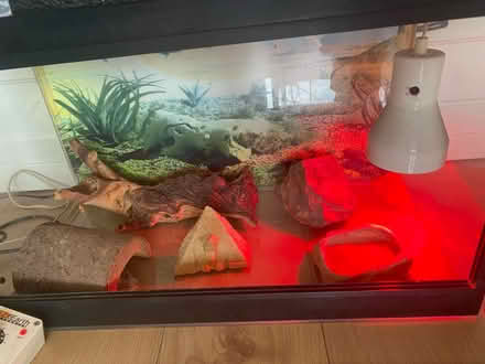 Photo of free Reptile tank (Hampton TW12) #2
