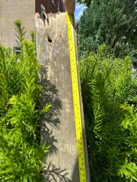 Photo of free Wooden garden posts (Acton W3) #2