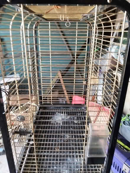 Photo of free Large parrot cage (Carnforth LA5) #1