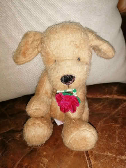 Photo of free Soft toys (Horsham) #1