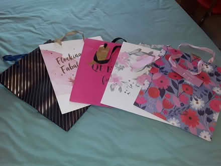 Photo of free Gift bags (Sele Farm SG14) #3