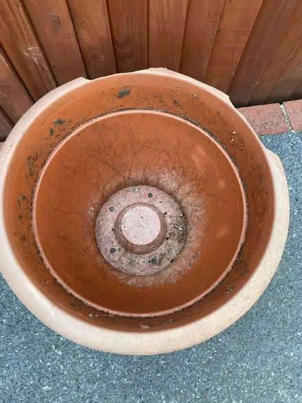 Photo of free Large 42cm plastic pot (Waterlooville PO7) #2