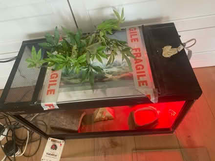 Photo of free Reptile tank (Hampton TW12) #3