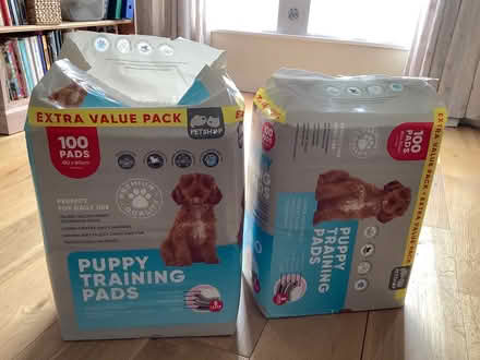 Photo of free Puppy training pads (Whitchurch, Bristol) #1