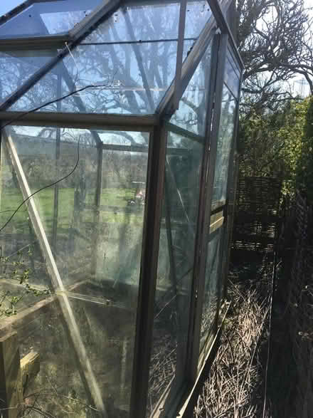 Photo of free Greenhouse (Chippenham SN15) #4