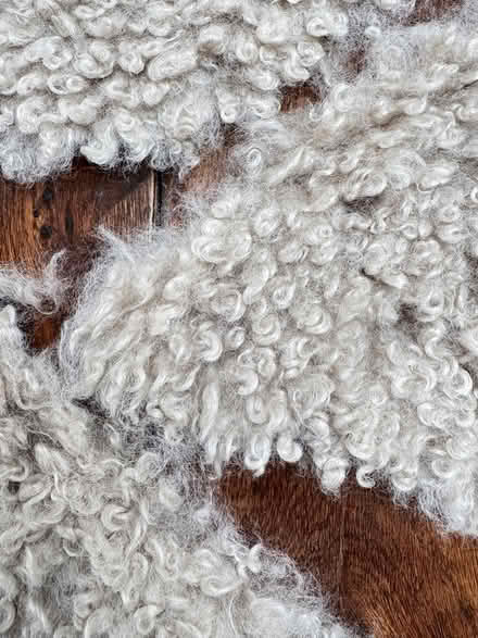 Photo of free Faux sheepskin offcuts (East Marden) #2