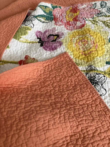 Photo of free BEDSPREAD and SHAMS (NoHo 10012) #4