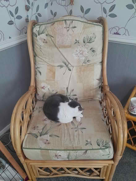 Photo of free Wicker chairs (Newby YO12) #1